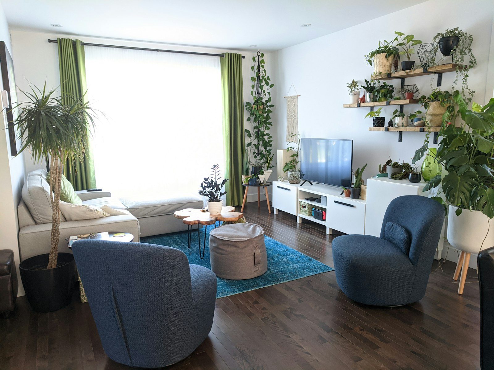Plantas para apartamento: opções para cada luz e cada rotina